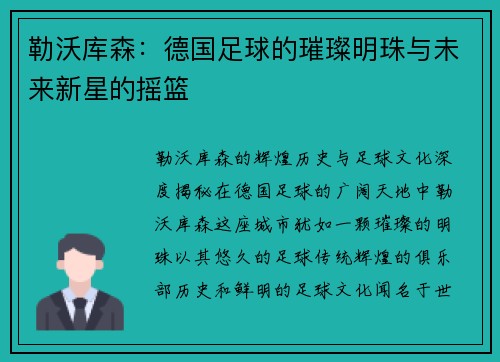 勒沃库森：德国足球的璀璨明珠与未来新星的摇篮