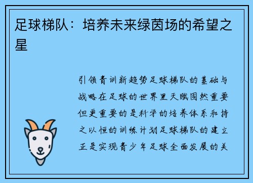 足球梯队：培养未来绿茵场的希望之星